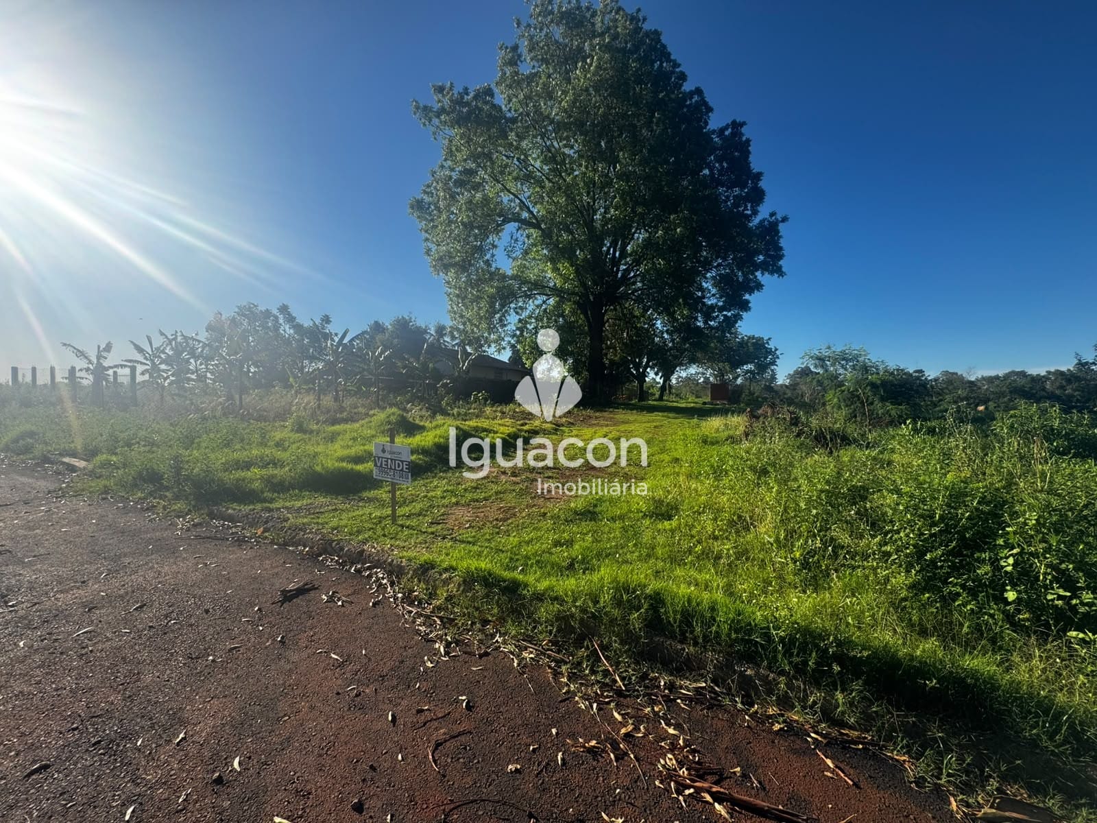 Terreno em Loteamento Vila Catarina, Foz do Iguaçu, foto 2