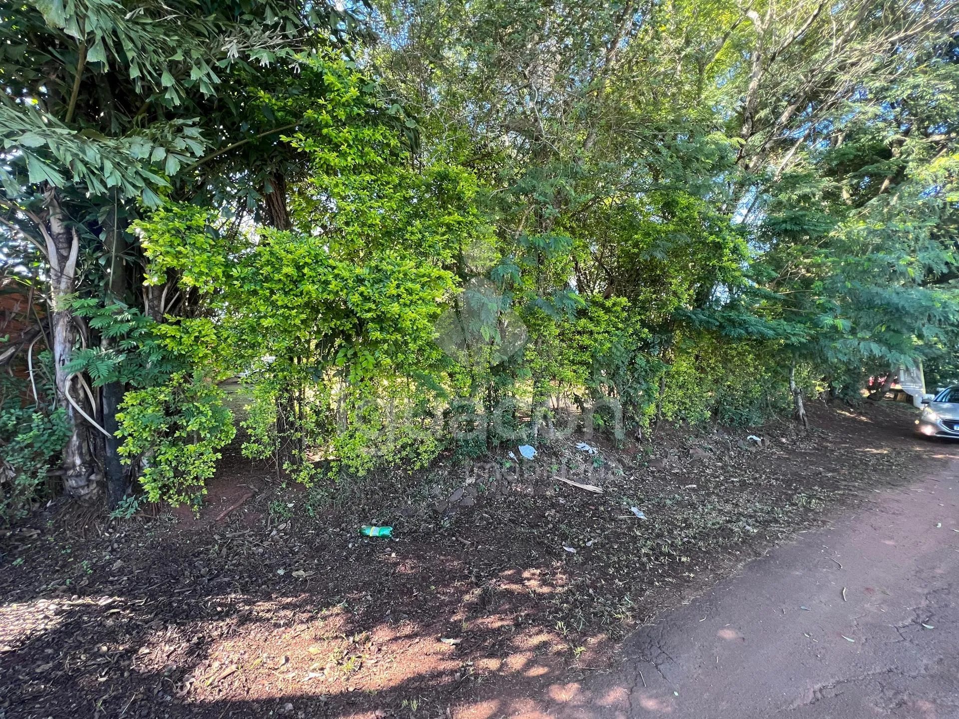Terreno no Bairro Vila Carimã — foto 2