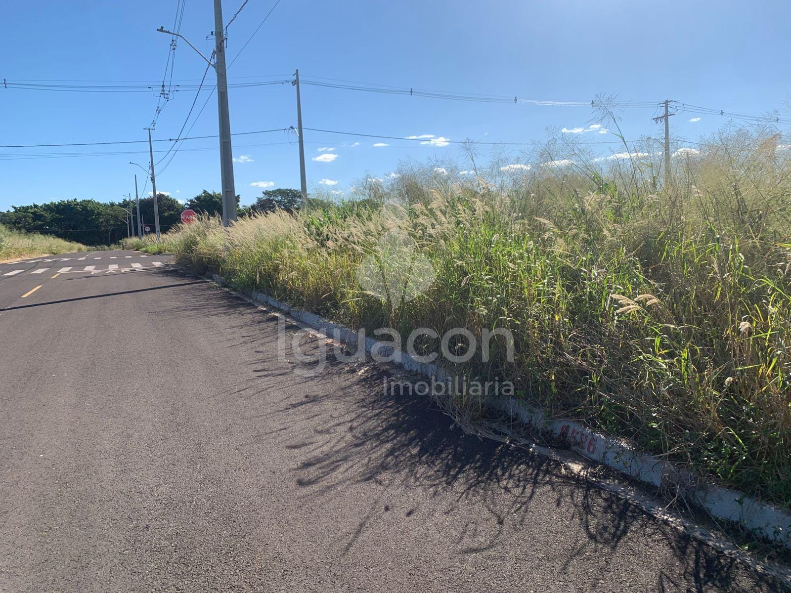 Terreno de 210m² no Loteamento Ecoville II no Porto Belo próximo Avenida Tancredo Neves — foto 1
