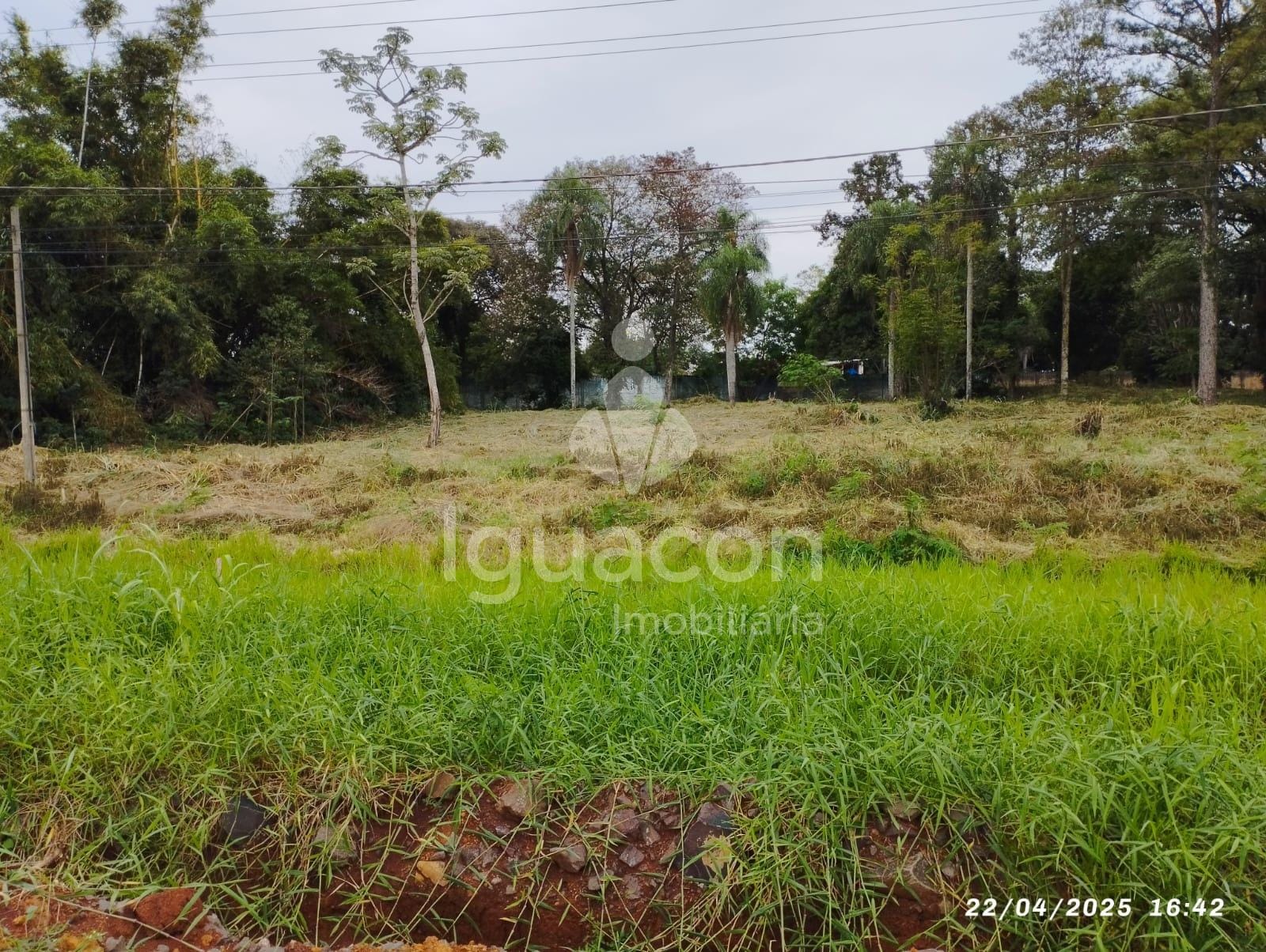 Terreno de 2.498m² na Avenida das Cataratas em Foz do Iguaçu — foto 1